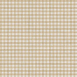 Cloth