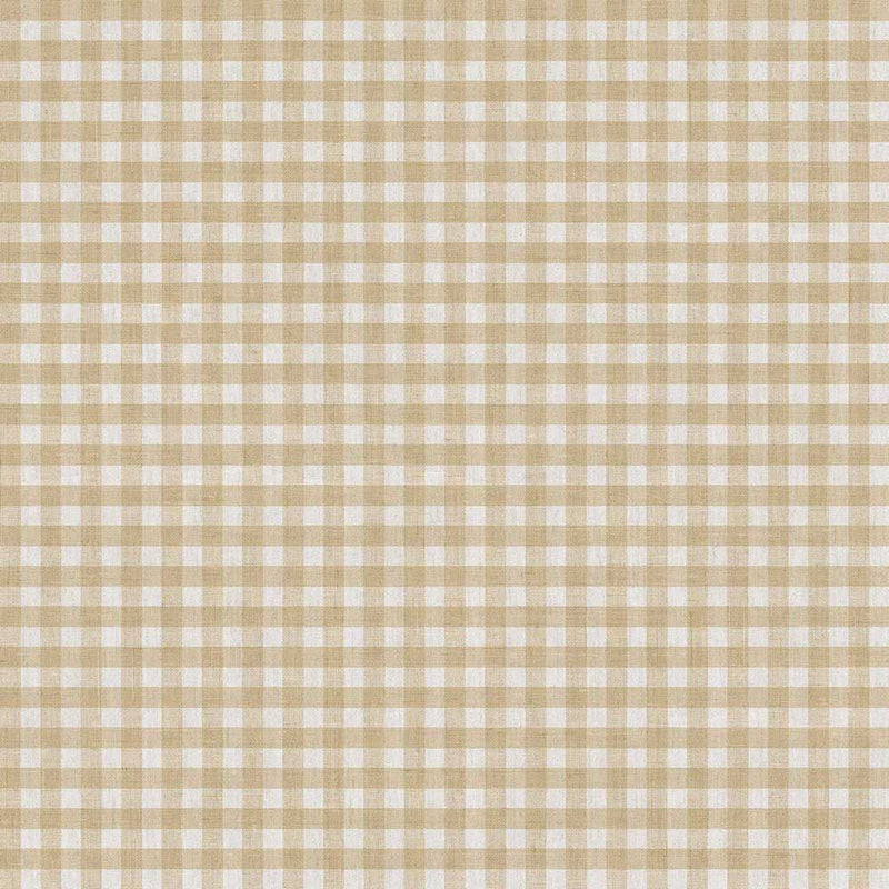 Cloth