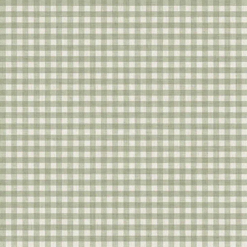Cloth