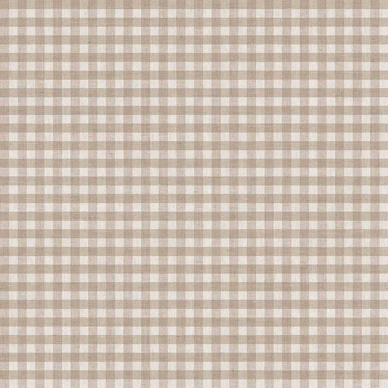 Cloth