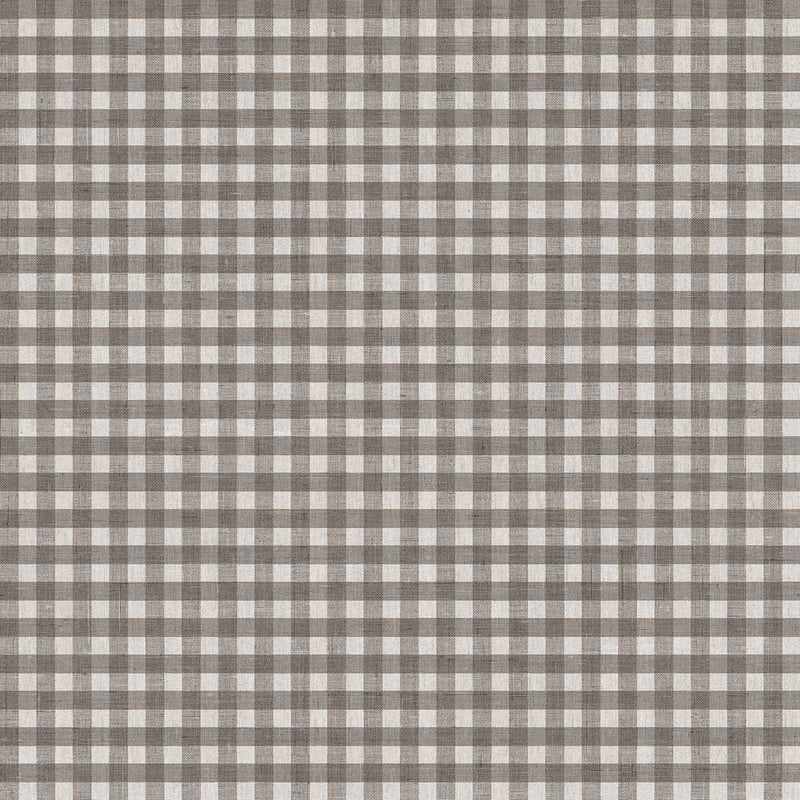 Cloth
