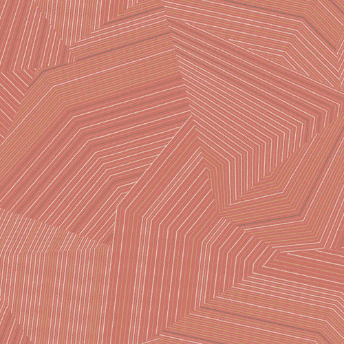 Dotted Maze