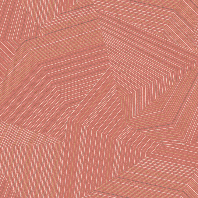 Dotted Maze