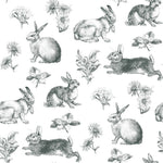 Bunny Toile